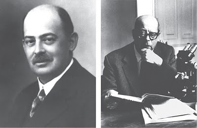 René Jeannel şi Pierre Alfred Chappuis. 