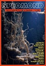 Speomond Nr.13