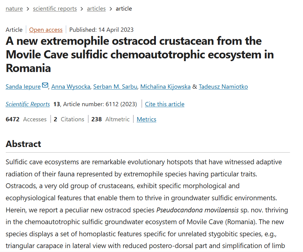 A new extremophile ostracod crustacean from the Movile Cave sulfidic chemoautotrophic ecosystem in Romania
