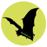 Speologie.org