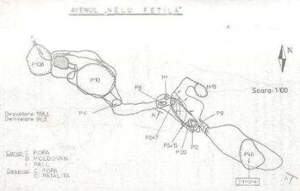 Avenul Nelu Fetila - Plan - Pestera#1