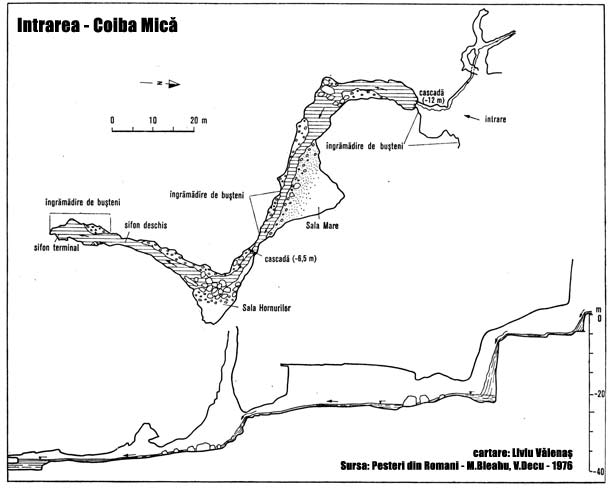 Coiba Mică