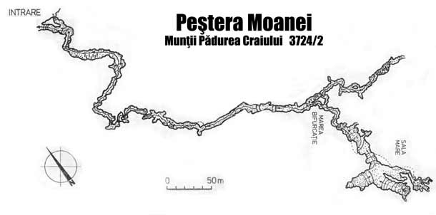 Pestera Moanei - dupa L.Vălenaş si Gh.Drâmba