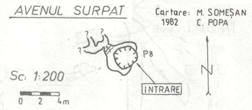 Avenul Surpat - (Jofi - Merisor)