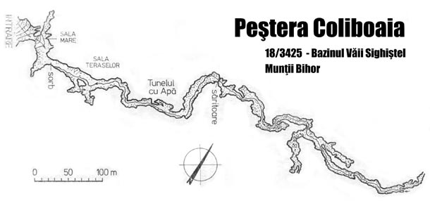 Peştera Coliboaia + Pesteri din Romania + M.Bleahu