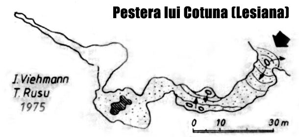 Pestera lui Cotuna - sau Pestera Lesiana