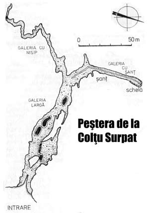 Pestera de la Coltu Surpat