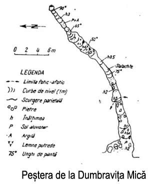 Pestera de la Dumbravița Mică