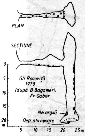 Pestera din Pastaiasa