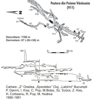 Pestera din Poiana Varasoaia - V11