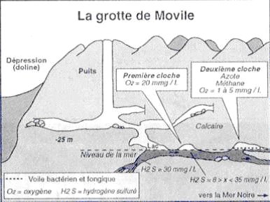 Profil Pestera Movile - http://bacterianeurons.blogspot.com/