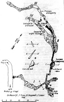 Pestera Sohodol - Plan