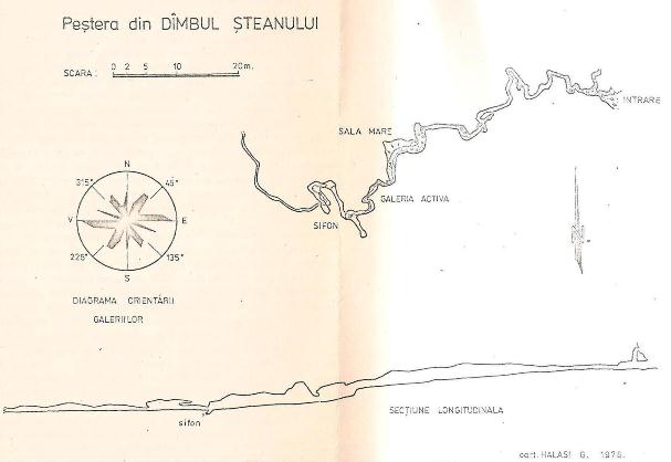 Pestera din Dambul Steanului