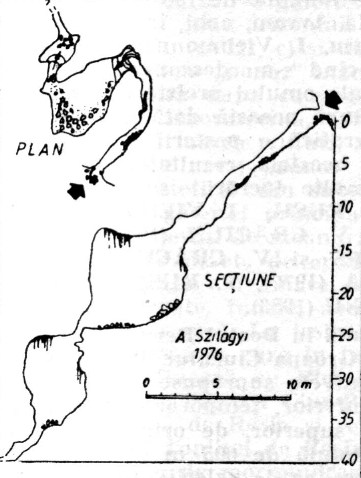 Posistaul Chicerii