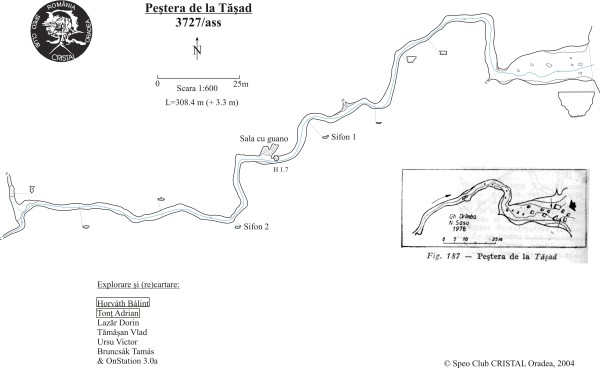 Pestera de la Tasad 