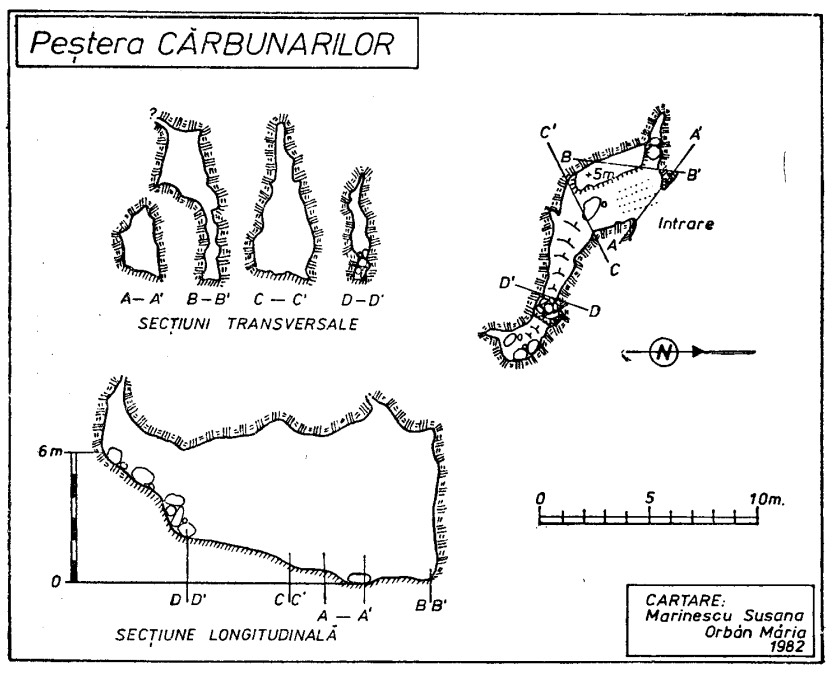 Pestera Carbunarilor - Vadu Crisului