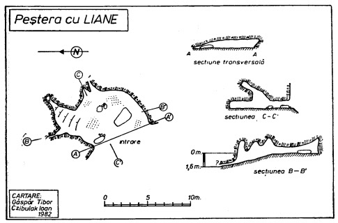 Peştera nr.1 de lângă Casa Zmeului (Peştera cu Liane)