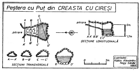 Peştera cu Puț din Creasta cu Cireşi