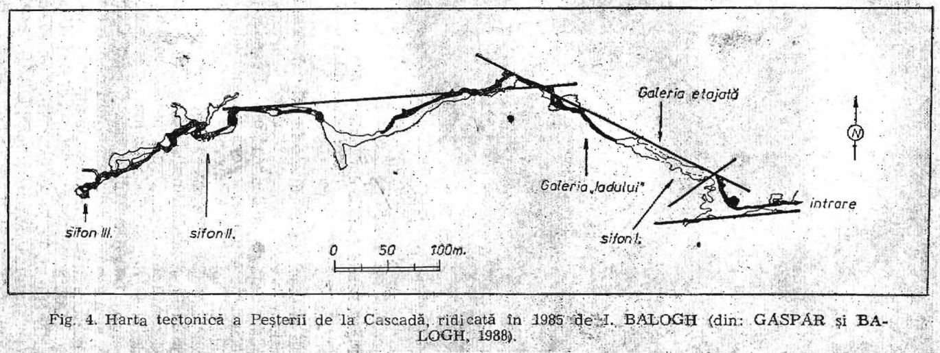 Harta - Pestera de la Vadul Crisului - Pestera de la Cascada