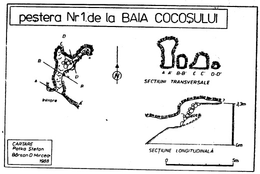 Pestera Nr.1 de la Baia Cocosului