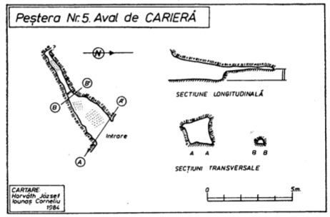 Peştera Nr.5 Aval de Carieră