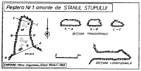 Harta Pestera Nr.1 Amonte de Stanul Stupului - 1988