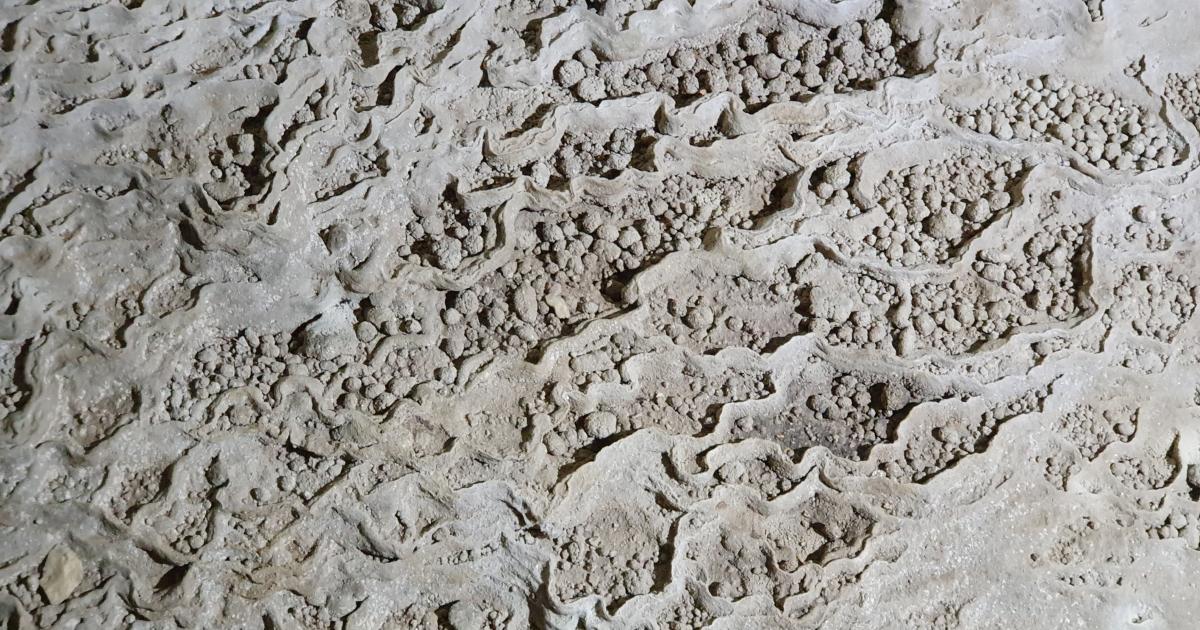 Peștera Nr. 4 din Cheile Oltețului (Peștera cu Șalitru; Peștera cu Oase