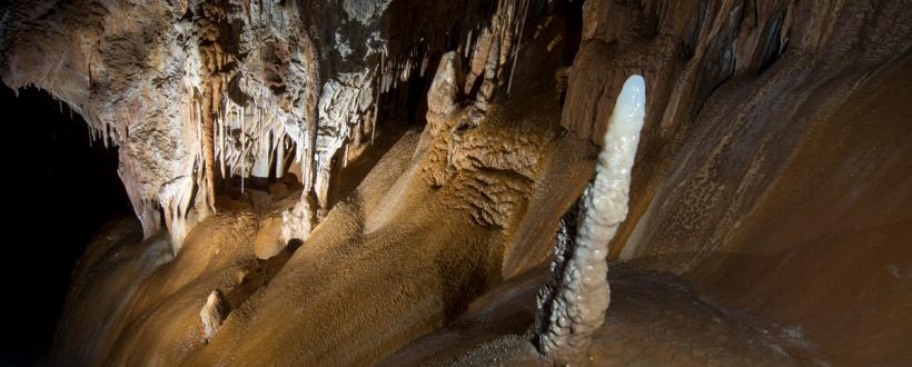 speleoteme de calcit