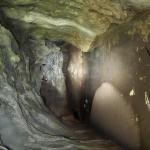 Zona vestibulară Zona vestibulară