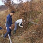 Intrare in Posistaul cu Sarpe - Foto Czumbil Attila