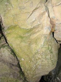 Fig.4. Peștera Poieții (foto: M. Gligor)